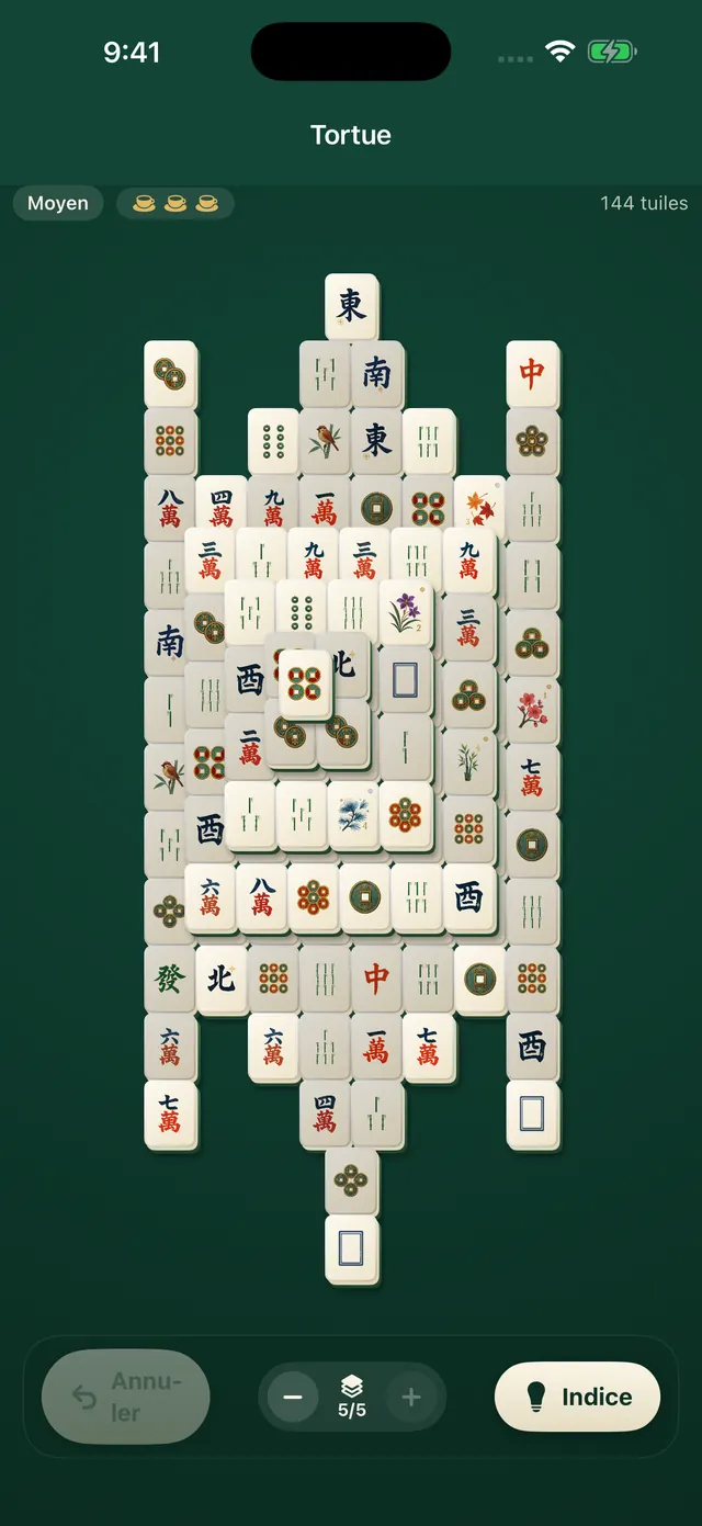 La tortue classique de 144 tuiles avec le jeu Painted
