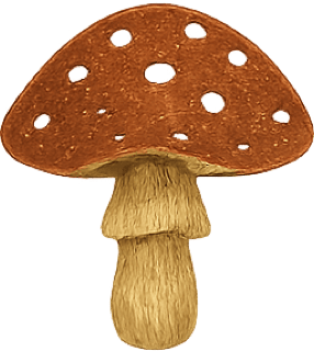 Woodland